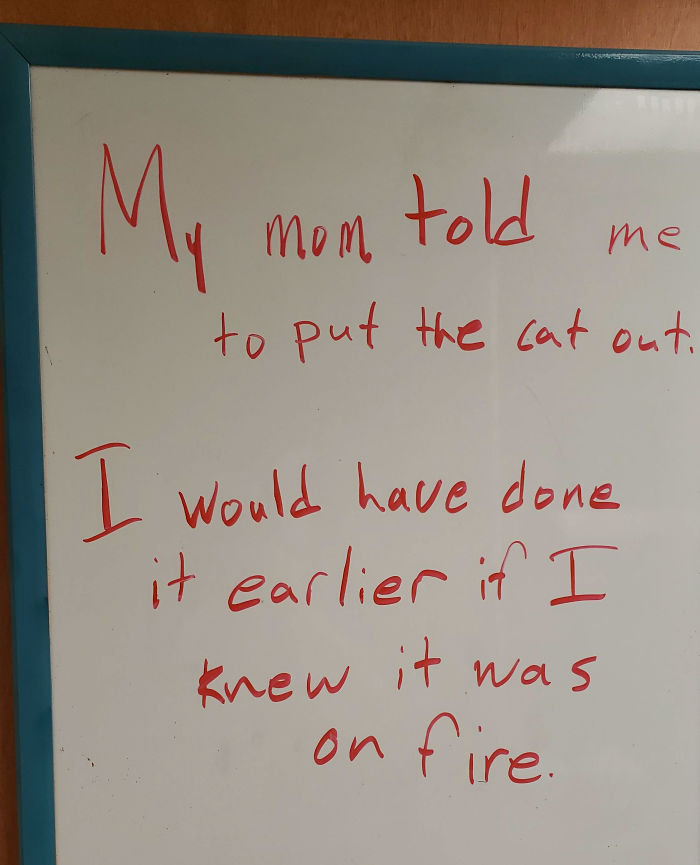 Guy Writes The Stupidest Jokes On A Board At Work Hoping Someone Will